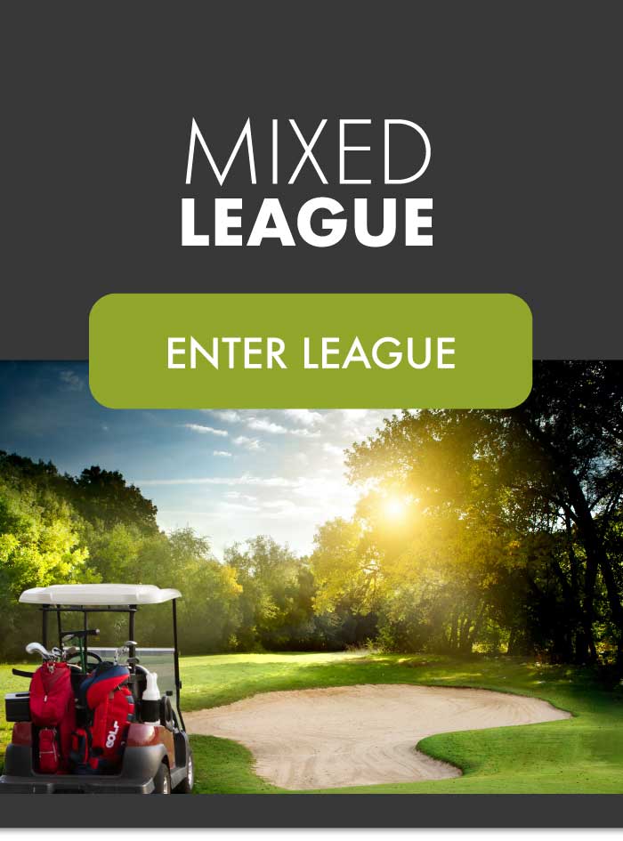 Edmonton Mixed Golf League